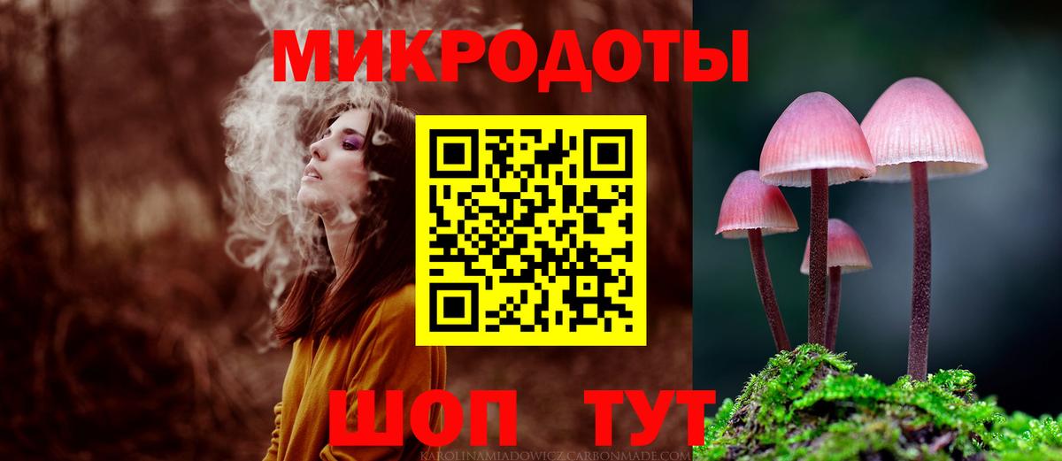 Псилоцибиновые грибы GOLDEN TEACHER  Вход с VPN  Камышин  Псилоцибиновые грибы GOLDEN TEACHER 